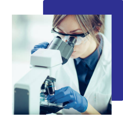 Untitled design (31)